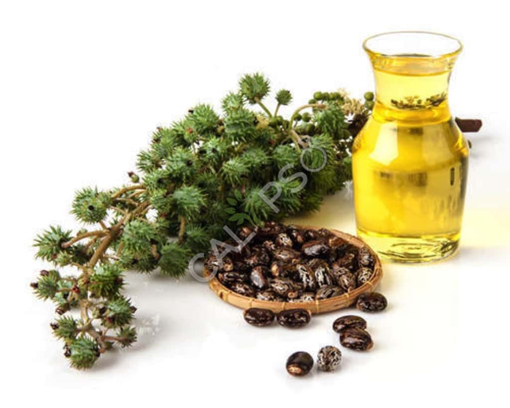 Acquista oli essenziali di Pure Mace